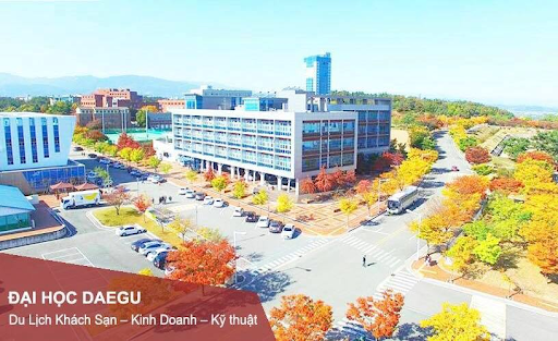 Học bổng Trường Đại Học Daegu, Hàn Quốc Học Daegu, Hàn Quốc